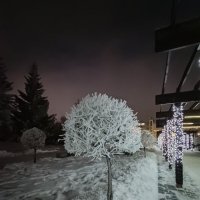 зимнее украшение :: Андрей Петренко