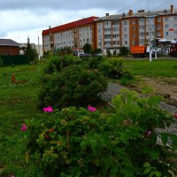 Ядрин. Аллея роз перед грозой. :: Пётр Чернега