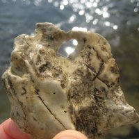 Куриный/собачий бог :: Anna Ivanova