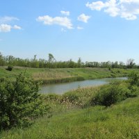 Местные виды. :: Виктор 