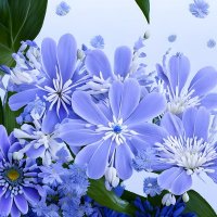 Фантазии на тему лета... :: Freddy 97