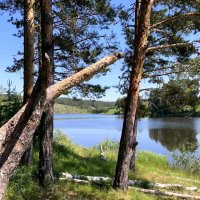 Начало лета :: Елена Начало лета :: Елена