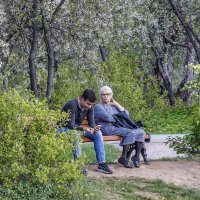 *** :: Aleksey Afonin