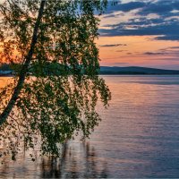 *** :: Алексей Мезенцев