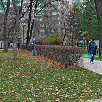 Таганский детский парк :: Игорь Белоногов