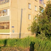 Автопортрет :: victor Lion