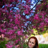 Яблони в цвету :: Олег 