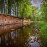 **** :: Елизавета .