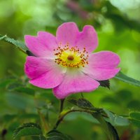 ** :: Виталий Емельянов