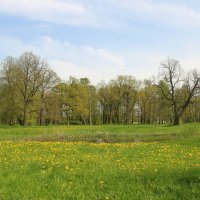 Орловский парк. Май :: Наталья Герасимова