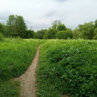 Из того, что успел недопоказать в июне :: Андрей Лукьянов