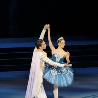 Балет "Раймонда" :: Валерий Судачок