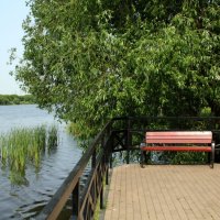 В Братееве :: Oleg4618 Шутченко