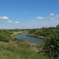 Местная река. :: Виктор 