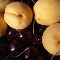 Наслаждение... :: Freddy 97