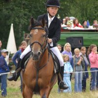 Конкур :: Николай ntv