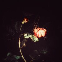 Тишина. :: Валентина M