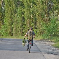 Кому-то повезло! :: Валентина  Нефёдова 