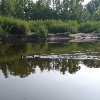 Прогулка :: Екатерина Панова Прогулка :: Екатерина Панова