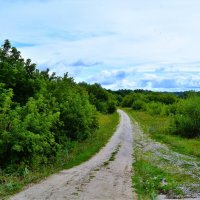 Ядрин. Дорога пойменного леса в юго-восточных окрестностях города. :: Пётр Чернега Ядрин. Дорога пойменного леса в юго-восточных окрестностях города. :: Пётр Чернега