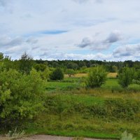 Ядрин. Пойменный лес в юго-восточных окрестностях города. :: Пётр Чернега