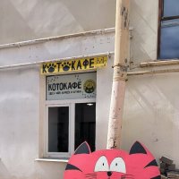 Котокафе Антошкин кот. :: Ольга 