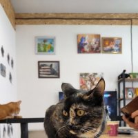 В котокафе. :: Ольга 