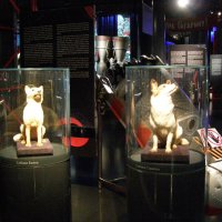 Белка и Стрелка :: Анна Воробьева Белка и Стрелка :: Анна Воробьева