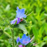 ,,, :: Сергей Тимоновский