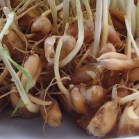 и это еда :: ИРЭН@ . и это еда :: ИРЭН@ .