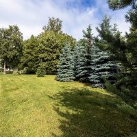 Прогулки по Петербургу :: Евгений 