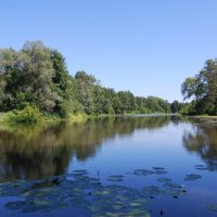 Старица(Старое русло реки Сура) :: Рудаков Сергей 