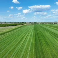 Поле :: Grabilovka Калиниченко