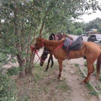 Talgar. :: Murat Bukaev 