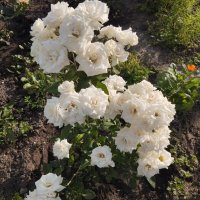 Talgar. :: Murat Bukaev 