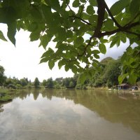 Озеро лесное :: Валерий 