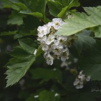 ххххх :: סּﮗRuslan HAIBIKE Sevastyanovסּﮗסּ ххххх :: סּﮗRuslan HAIBIKE Sevastyanovסּﮗסּ