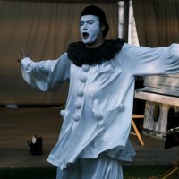 Грустный клоун :: Сергей Золотавин