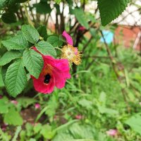 ,,, :: Сергей Тимоновский