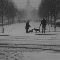 .... :: Юрий Самсонов