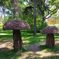 Симбиоз :: Ирина Румянцева