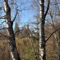 Пробуждение :: AleksSPb Лесниченко