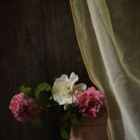 *** :: Яна Горбунова