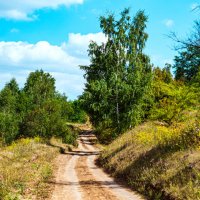 Дорога :: Александр Леонов