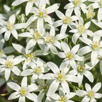 Краски лета :: Андрей Неуймин