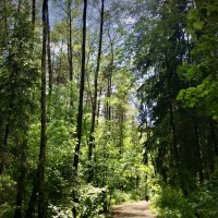 Погожий денёк :: Любовь 