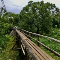 Длинющий мост в Киржаче… :: Любовь 