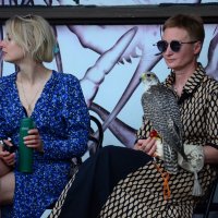 Красавец сокол со своей хозяйкой. :: Наталья Вязигина