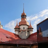 Крыши Питера :: skijumper Иванов