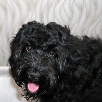 Портрет Тучи :: Светлана 